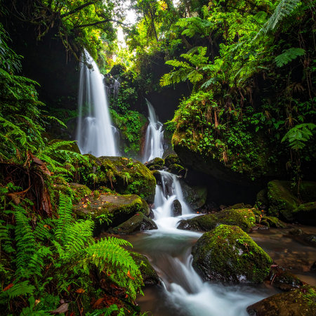 Waterfall in deep rain forest at Doi Inthanon National Park, Chiang Mai, Thailandの素材