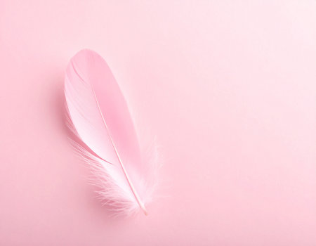 Feather of a bird on a pink background, close-upの素材