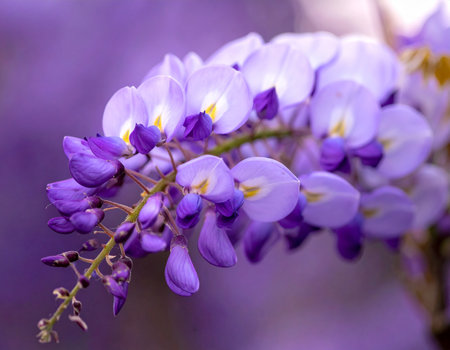 White living room interior with a TV on the wall, a sofa and a coffee table. 3d rendering mock upの素材