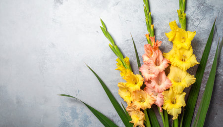 Beautiful gladiolus flowers on grey table, space for textの素材