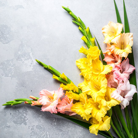 Bouquet of gladiolus flowers on stone background. Top view with copy spaceの素材