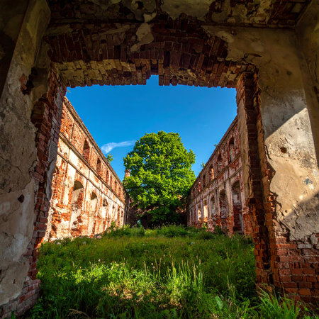 Ruins of an old brick building in the village. Russia.の素材