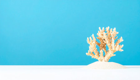 Coral on the sand on a blue background. Copy space.の素材