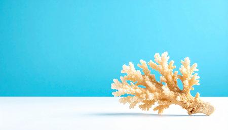 Coral on a blue background. Copy space for your text.の素材