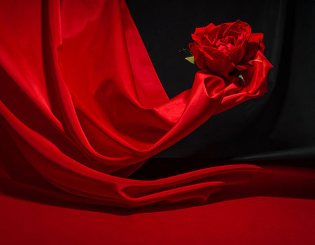 A red rose is held in a hand draped with flowing red silk fabric against a dark background.の素材