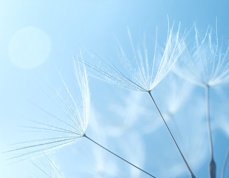 Macro view of dandelion seeds against a soft blue sky with a sun flare. Clear details and vibrant colors enha...の素材