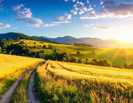 Dirt path through golden wheat fields and green rolling hills at sunrise Clear details and vibrant colors enh...の素材