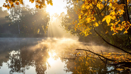 A misty lake at sunrise with sun rays and autumn foliage on the shoreline and water.の素材