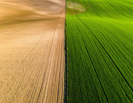 Overhead drone view of a farm field split into dry brown earth and vibrant green crops with distinct rows.の素材