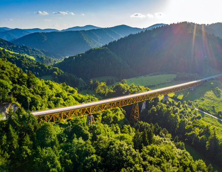 An aerial view shows a yellow pipeline bridge winding through a sunlit green mountain forest.の素材