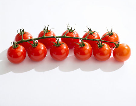 A cluster of ten ripe red cherry tomatoes on a green vine against a white background.の素材
