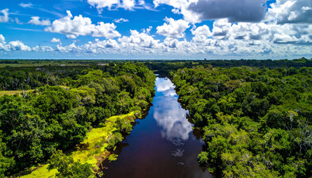 Aerial view of the river in Everglades National Park, Floridaの素材