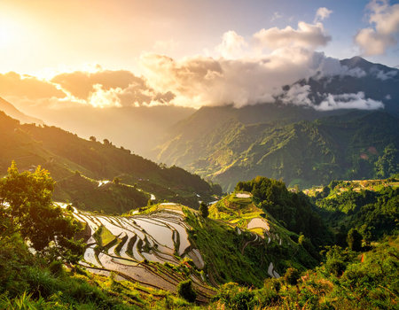 Rice terraces at sunset in Sapa, Lao Cai, Vietnamの素材