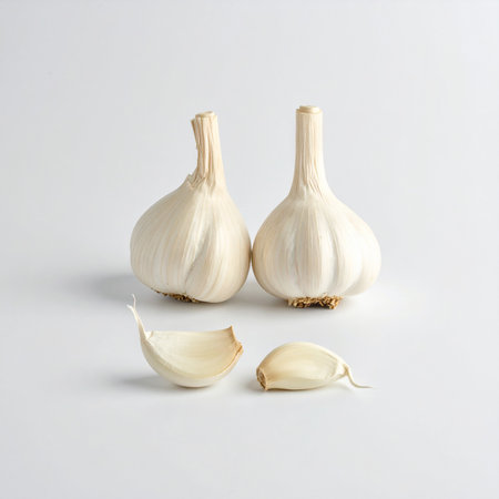 Garlic bulb and cloves on a white background, close-upの素材