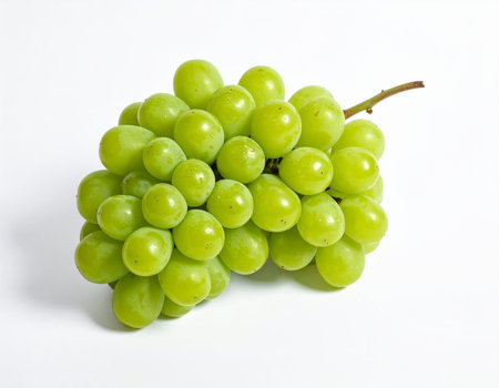 A full bunch of ripe green grapes with plump berries and a stem is presented on a clean white background, showcasing its natural beauty.の素材