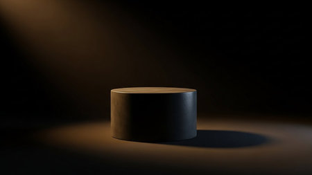 A dark, textured cylindrical pedestal is positioned in a dark studio, lit by a warm, angled spotlight casting a distinct shadow.の素材
