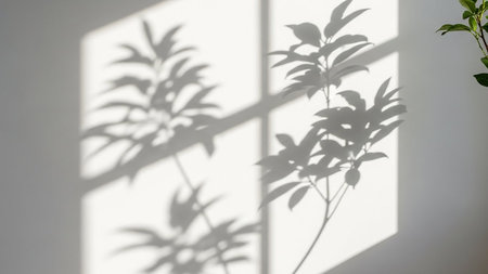 Shadows of plant leaves cast on a white wall with a grid pattern from a window. Clear details and vibrant colo...の素材