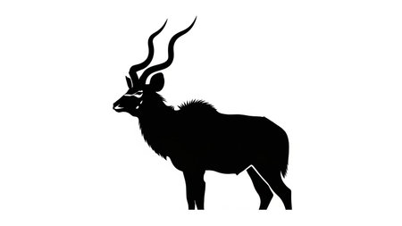 Black silhouette of a kudu antelope with prominent spiral horns on a white background.の素材