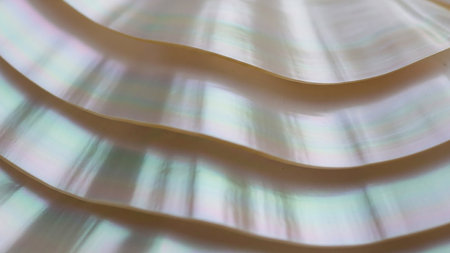 Close up macro view of iridescent mother of pearl shell layers with a shimmering, wavy texture.の素材