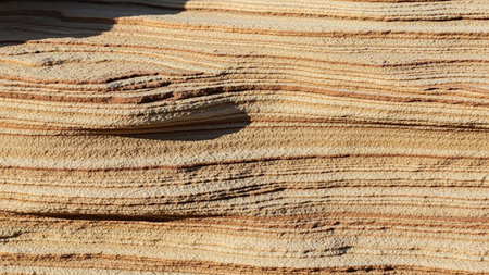 Close-up of rough, horizontal sandstone layers with distinct brown and tan stripes, showing natural geological texture.の素材