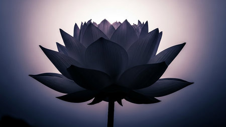 A silhouetted lotus flower with petals illuminated by backlighting against a dark purple background.の素材