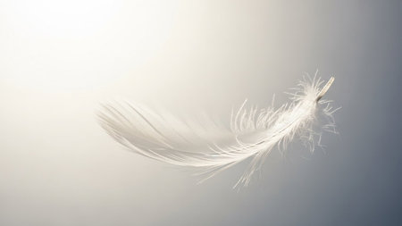 showing a single delicate white feather floats gently in soft, diffused light against a blurred, gradient background of white and gray tones....の素材