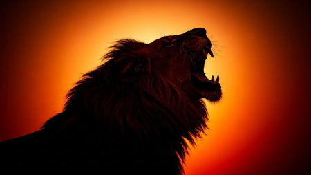 A dark silhouette of a lion with its mouth wide open roaring against a bright orange sunset.の素材