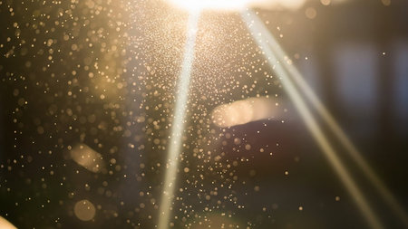 Golden dust particles float in the air illuminated by bright sunlight creating bokeh and lens flaresの素材