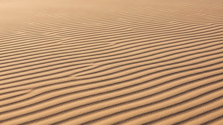 Parallel showing rippling sand dunes with distinct parallel lines created by wind and shadow patterns keywords: sand dunes, desert, sand, texture,...の素材