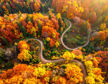 Exploration showing drone of a winding road through a sun-drenched forest with autumn foliage in warm hues of yellow and orange keywords: drone...の素材