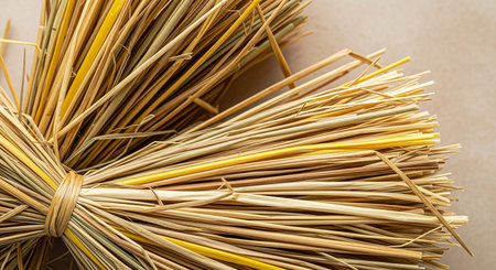 Close up of tied bundles of dry straw with yellow and green hues against a neutral background.の素材
