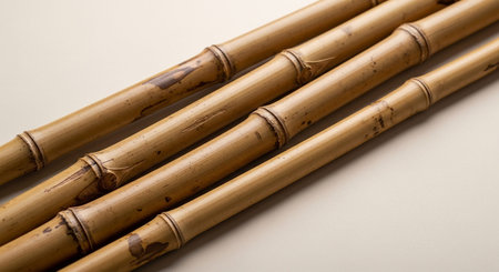 Close-up view of several dry bamboo stalks arranged diagonally on a light surface.の素材