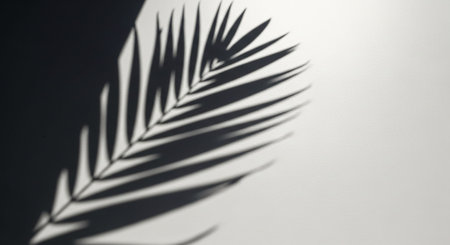 A dark shadow of a palm leaf is cast diagonally across a textured white surface. Clear details and vibrant col...の素材