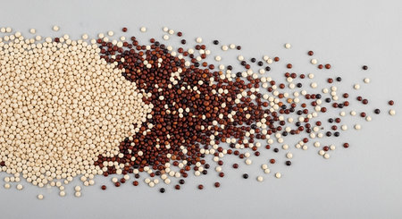 White quinoa and tri-color quinoa grains are scattered in a dynamic pattern on a gray surface.の素材