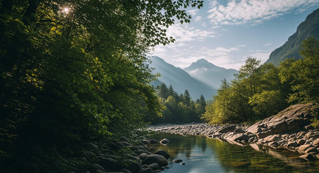 A serene mountain valley landscape featuring a clear river flowing over a rocky bed, with sunbeams piercing through lush green trees.の素材