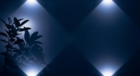 Dark interior with a plant and two diagonal light beams casting shadows on the wallの素材