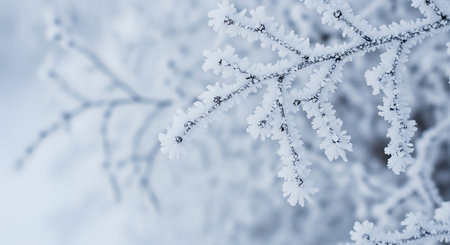 Detailed macro shot of delicate frost crystals forming intricate patterns on a tree branch with a soft blue background.の素材
