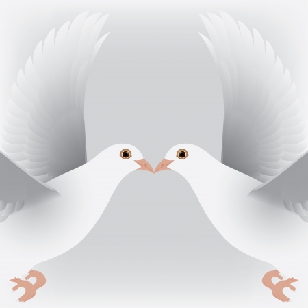 white twin doves isolated のイラスト素材