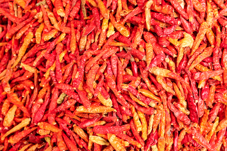 Dried red hot chillies texture backgroundの写真素材