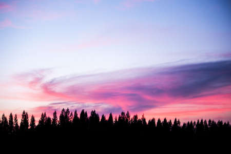 sunset dream sky sweety silhouette row of pine and mountain