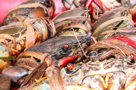fresh serrated mud crab black in seafood marketの写真素材