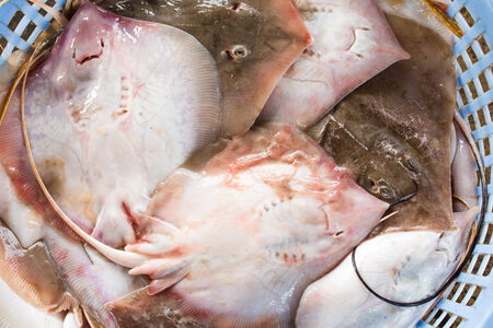stack of fresh stingray in basket sold in fish dock marketの写真素材