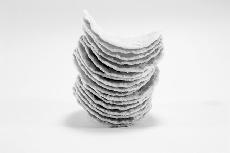 potato crackers black and white styleの写真素材