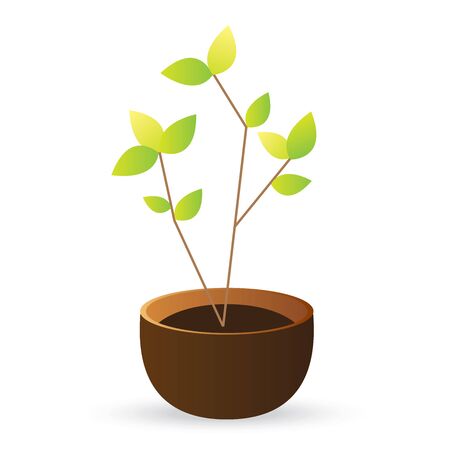 grow tree green leaves on white backgroundのイラスト素材