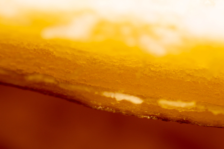 close-up macro banana peelの写真素材