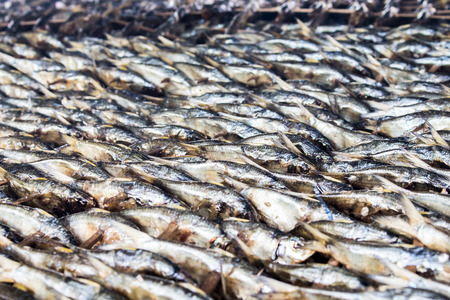 smoked fish from fishing village food industry at krabi thailandの写真素材