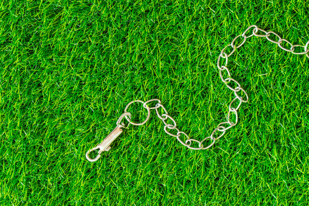 chain interpreter dogs on green grass texture background eco conceptの写真素材