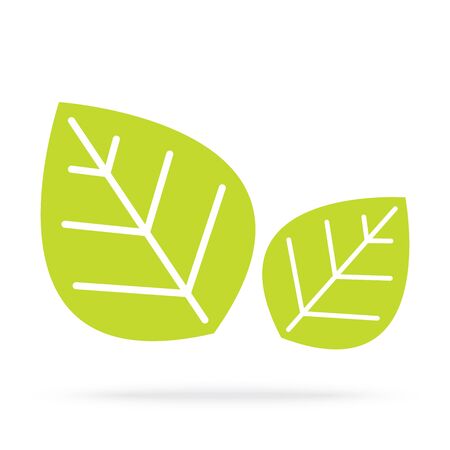 green leaves isolated on white backgroundのイラスト素材