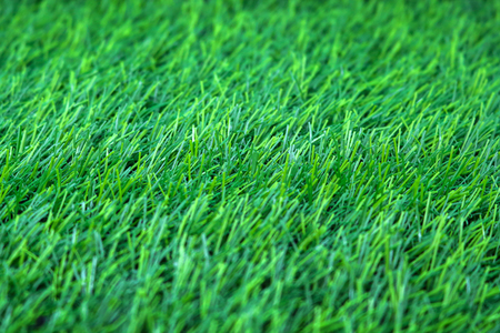 close-up lawn grassの写真素材