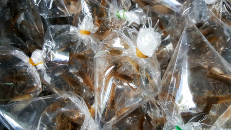 crayfish lobster packed with bags